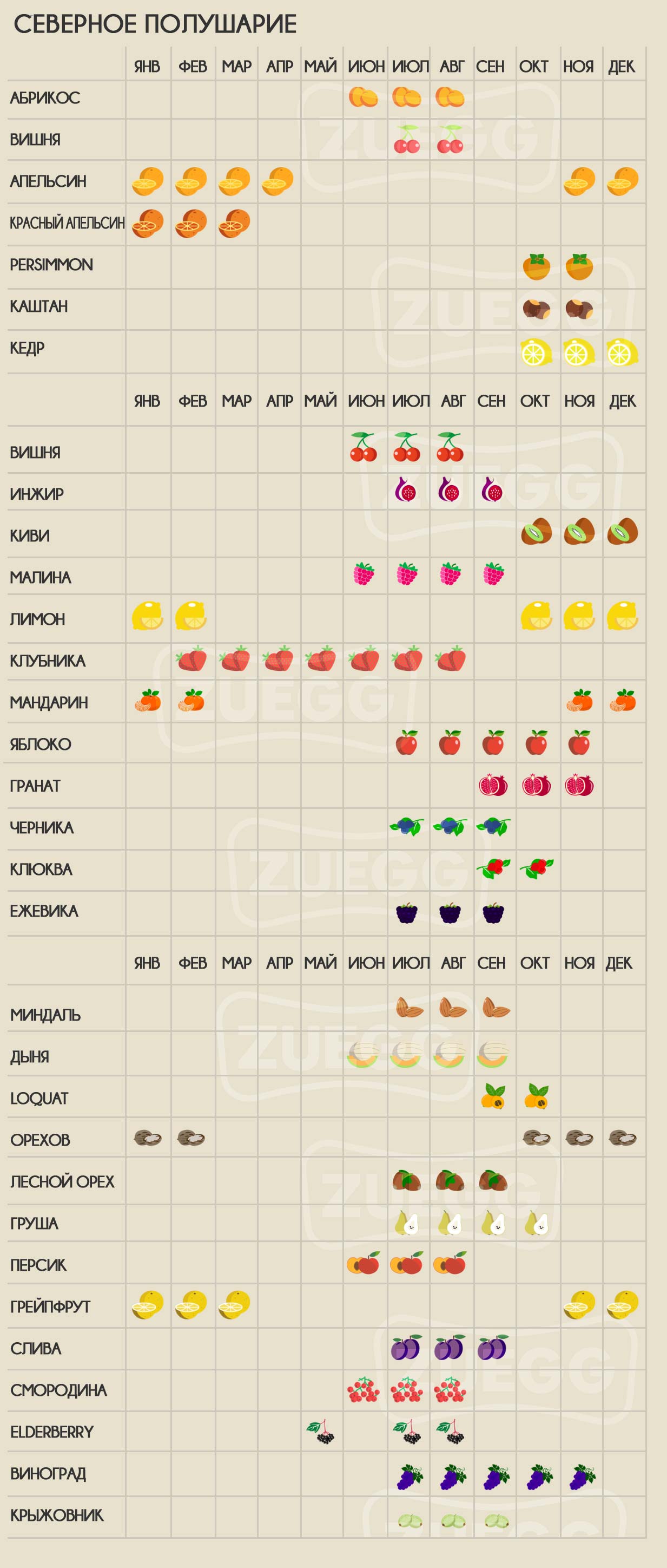 tabella stagionalità della frutta